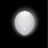 Imagen de Globos Blancos con Luz (5)