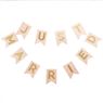 Picture of Guirnalda Just Married Elegante (3,5m)
