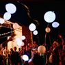 Imagen de Globos Blancos con Luz (5)