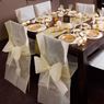 Picture of Fundas para Silla Marfil Maxi Pack (10 unidades)