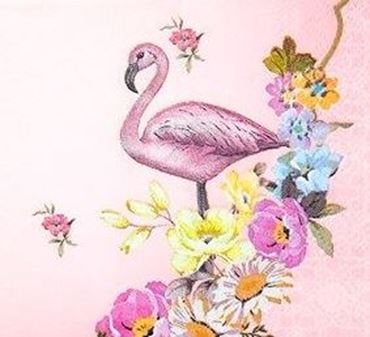 Picture for category Comunión Flamencos