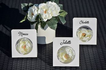 Picture of Decorado Burbuja Transparente 8cm 