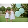 Imagen de Decorados Linternas Coral papel (2 uds.)