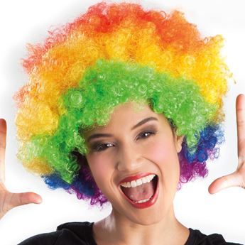 Imagen de Peluca Afro Multicolor
