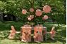 Picture of Fundas para Silla Marfil Maxi Pack (10 unidades)