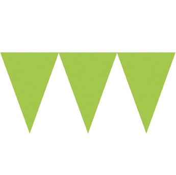 Imagen de Banderín Verde Claro Triángulos papel (4,5m)