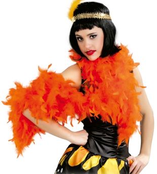 Imagen de Boa Plumas Naranja (40g)