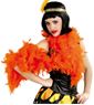 Picture of Boa Plumas Naranja (40g)