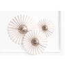 Imagen de Rosetones Beige papel (3 unidades)