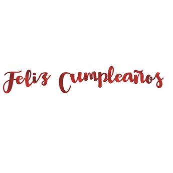 Imagen de Guirnalda Letras Metalizadas FELIZ CUMPLEAÑOS Colores Surtidos (220cm)