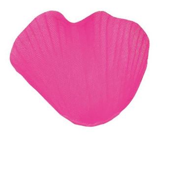 Imagen de Pétalos Fucsia (100)