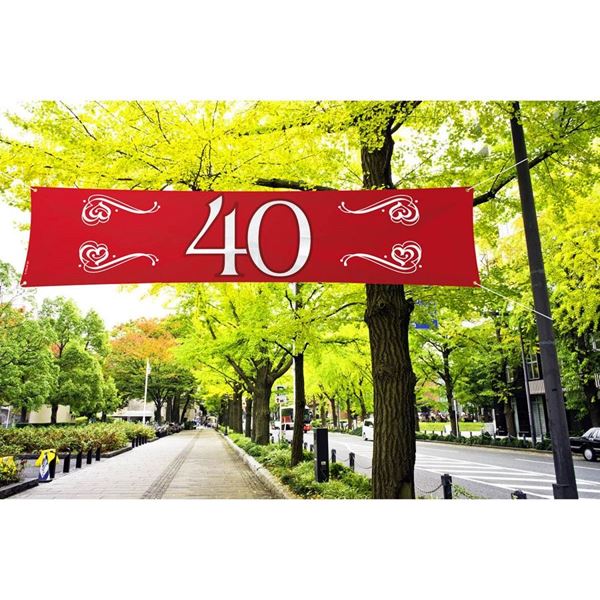 Imagen de Pancarta 40 de Tela Rojo (180cm)