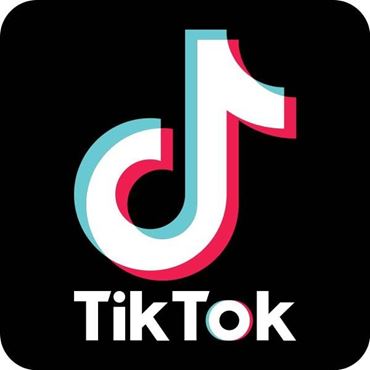 Imagen de categoría Cumpleaños de TikTok Influencer