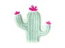 Picture of Platos Cactus 23cm (6)