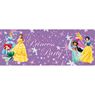 Picture of Banner Princesas Disney Grande (130 x 65 cm)