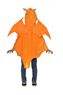 Imagen de Disfraz de Pokémon Charizard Oficial (3-7 Años)