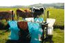 Picture of Fundas Silla Verde Maxi Pack (10 unidades)