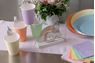 Imagen de Vasos Coral Pastel cartón SX (10 unidades)