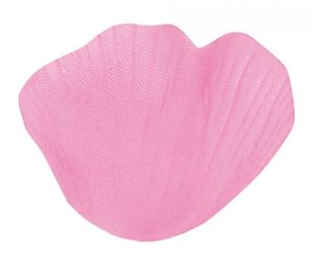 Imagen de Pétalos Rosa Claro (100)