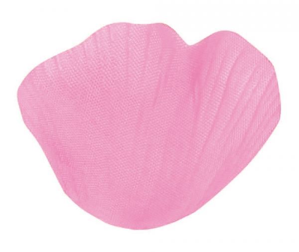 Imagen de Pétalos Rosa Claro (100)
