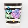 Imagens de Vasos Black & Flowers cartón (8 unidades)