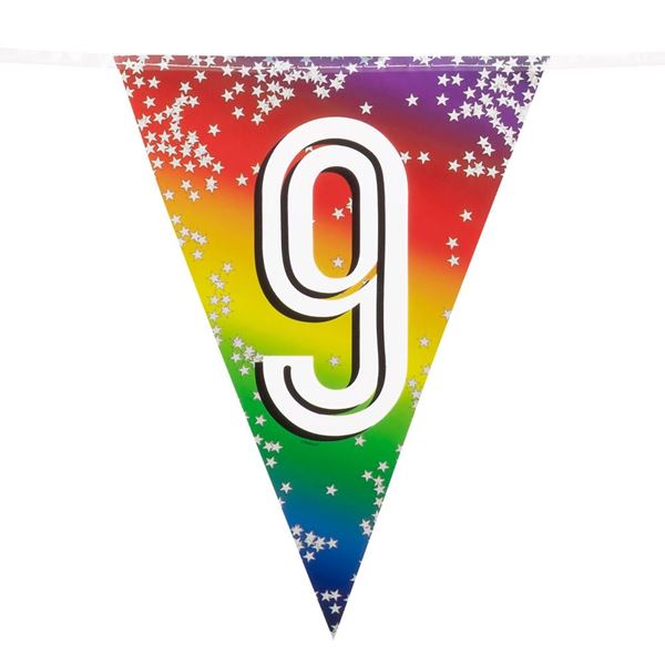 Imagen de Banderín 9 Años Multicolor (6m)