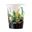 Picture of Vasos Jungla Tropical cartón (8 unidades)