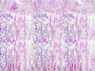 Imagen de Cortina Iridiscente Brillante (90cm x 2,5m)