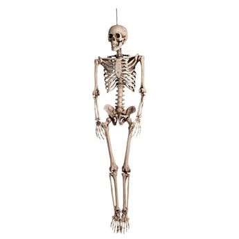 Imagen de Colgante Esqueleto Humano (160cm)
