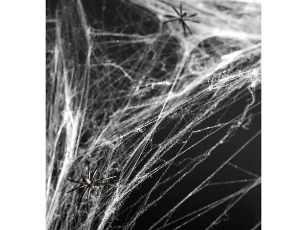 Imagen de Telaraña Blanca Halloween (60g)