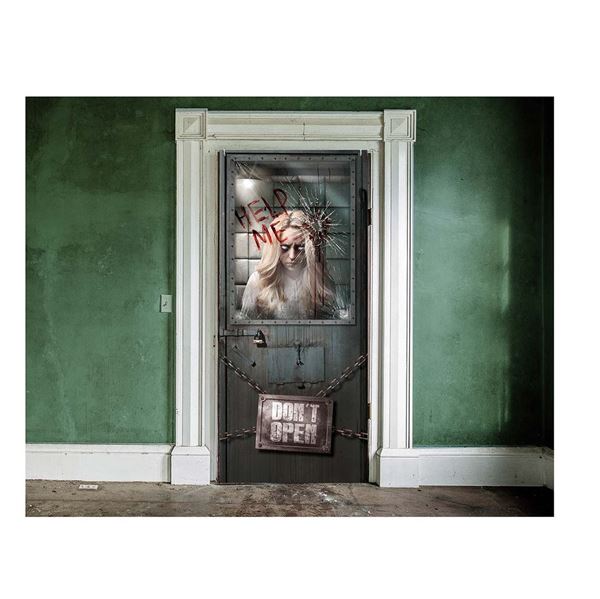 Imagen de Decoración Puerta Psiquiátrico Halloween (180cm)