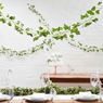 Imagen de Decorado Enredadera Hojas (2m)