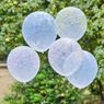 Imagen de Globos Floral Transparente Pastel Látex (5 unidades)