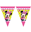 Imagen de Banderín Minnie Mouse Disney Rosa plástico (2m)