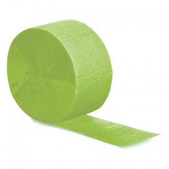 Imagen de Guirnalda Verde Kiwi Crepé 24m 
