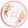 Picture of Platos Oh My Girl cartón 23cm (6)