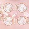Imagen de Platos Oh My Girl cartón 17cm (8)