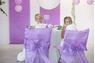 Picture of Fundas para Silla Violeta Maxi Pack (10 unidades)