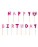 Imagen de Velas Happy Birthday Minnie Mouse