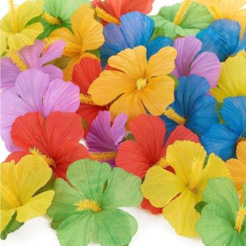 Picture of Flores Hibiscus de Tela (24 uds)
