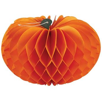 Imagen de Calabaza Nido de Abeja (30cm)