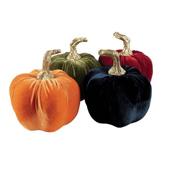 Imagens de Calabaza Elegante Terciopelo Surtida (13cm)