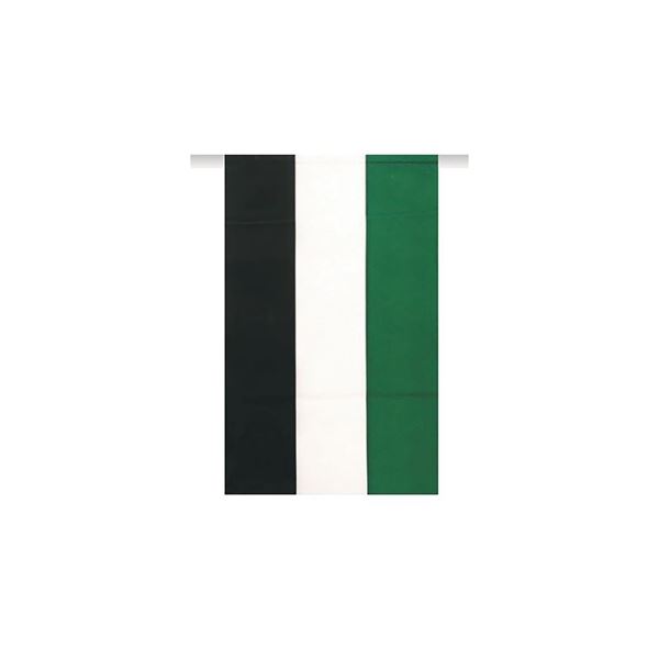 Imagens de Guirnalda Bandera Extremadura plástico (50m)