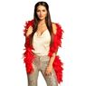 Imagen de Boa Plumas Rojas Fiesta (50gr)