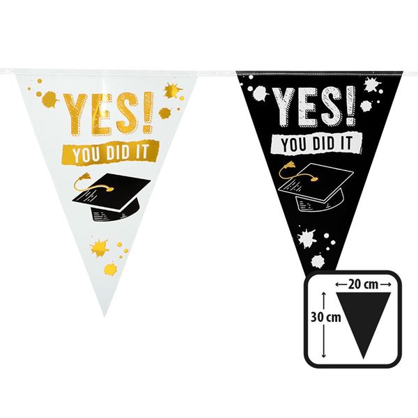 Imagens de Banderín Graduación Yes You Did It plástico (6m)