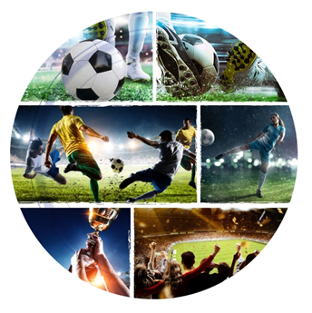 Picture of Platos Fútbol Campeones cartón 23cm (8 unidades)