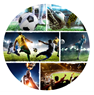 Imagens de Platos Fútbol Campeones cartón 23cm (8 unidades)