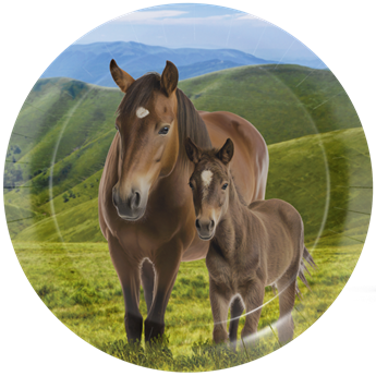 Imagen de Platos de Caballos cartón 23cm (8 unidades)