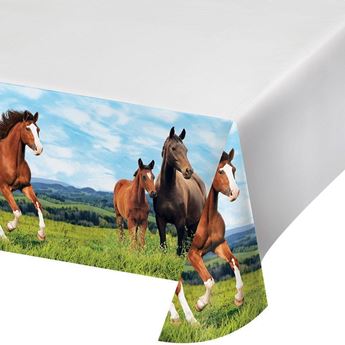Imagen de Mantel de Caballos plástico (137cm x 259cm)