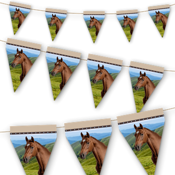 Imagen de Banderín de Caballos cartón (3m)